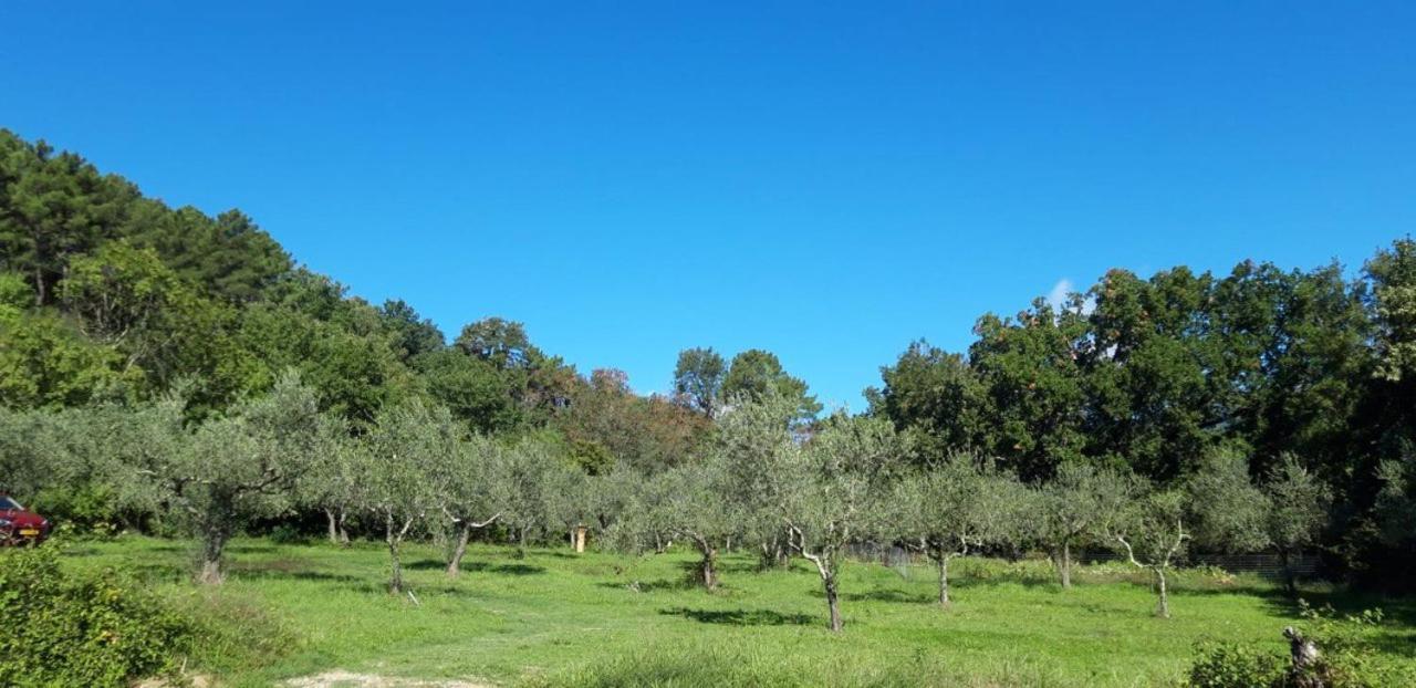 Agricampeggio Borgo Agna San Giustino Valdarno Eksteriør bilde
